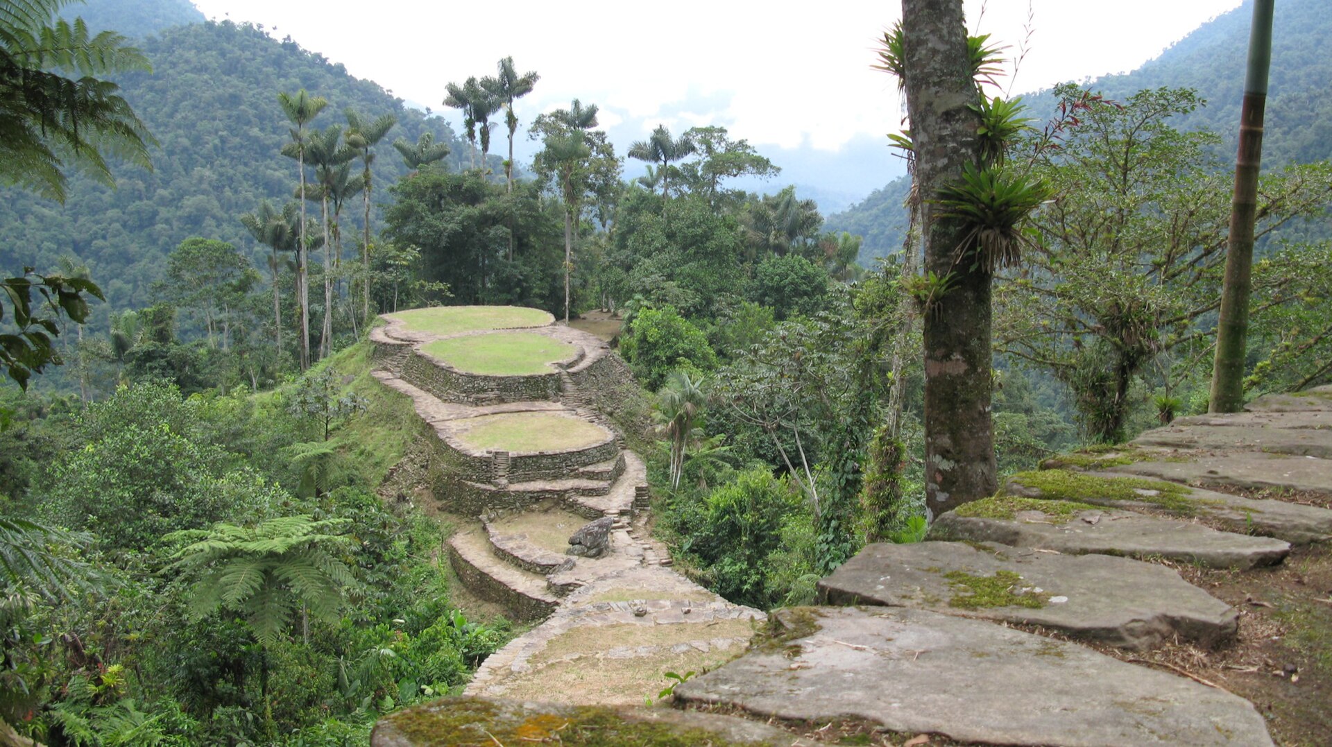 Ruinas de Ciudad Perdida entre la vegetación