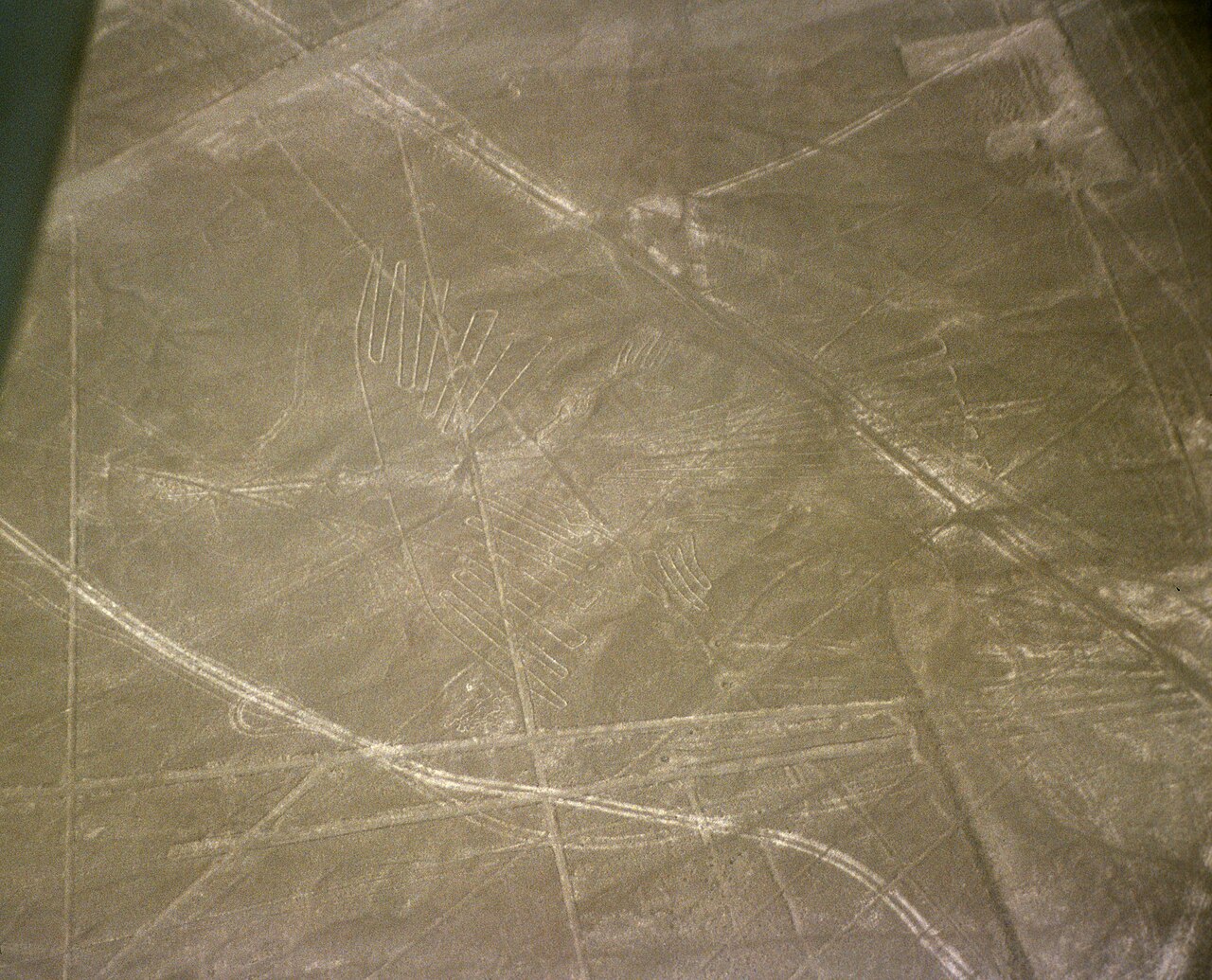 Geoglifo del cóndor en las líneas de Nazca