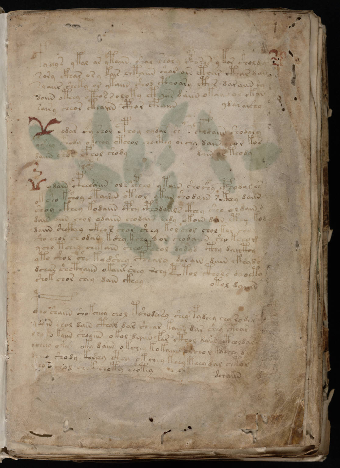 El manuscrito Voynich: el libro que nadie ha logrado leer en 600 años